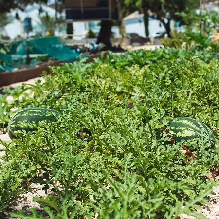 Latchi Escape And מלון 4*