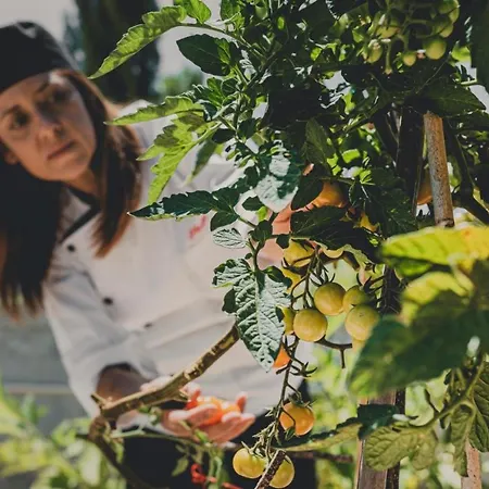 Hotel Latchi Escape And 4*