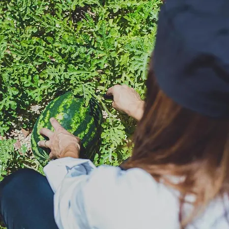 Latchi Escape And 4* Neo Chorio