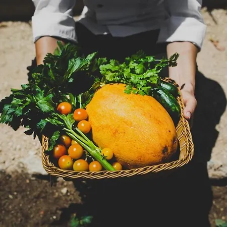 Latchi Escape And 4* Neo Chorio