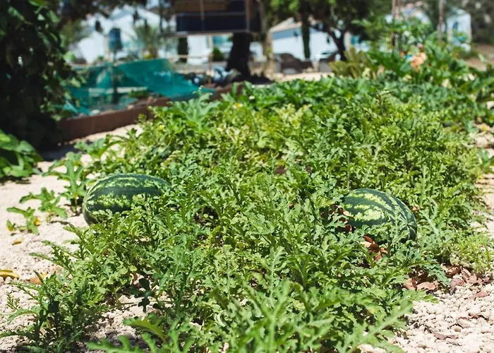 Latchi Escape And Отель 4*