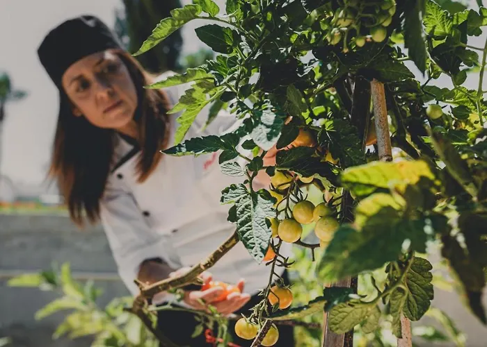 Hotell Latchi Escape And 4*