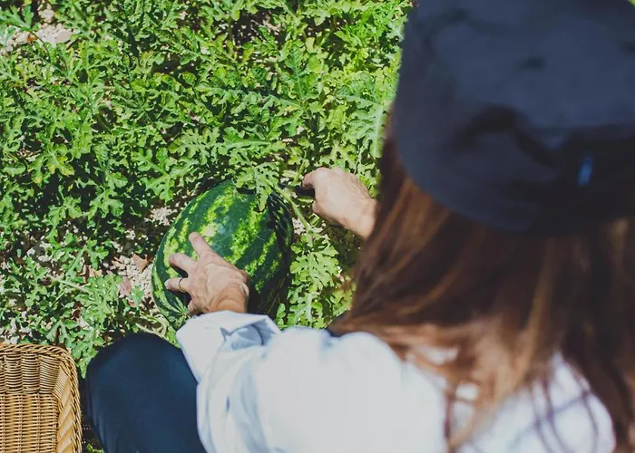 Latchi Escape And 4* Neo Chorio