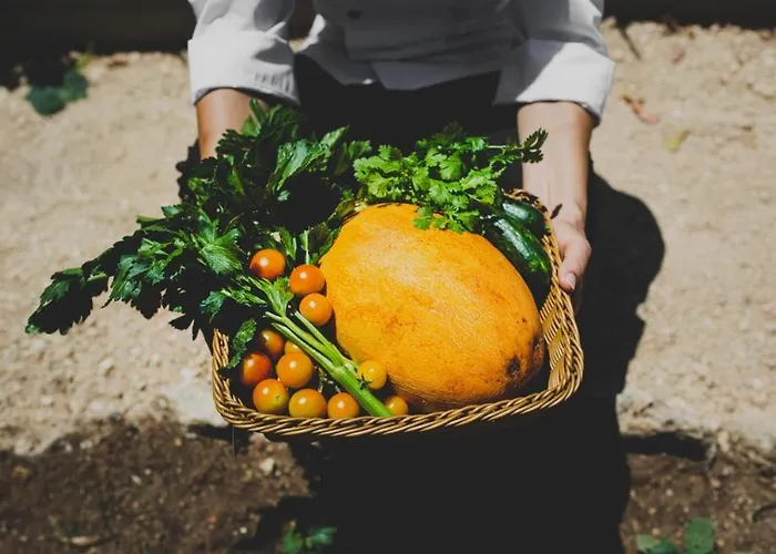 Latchi Escape And 4* Neo Chorio